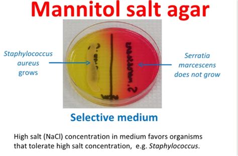 mannitol fermentation test purpose.